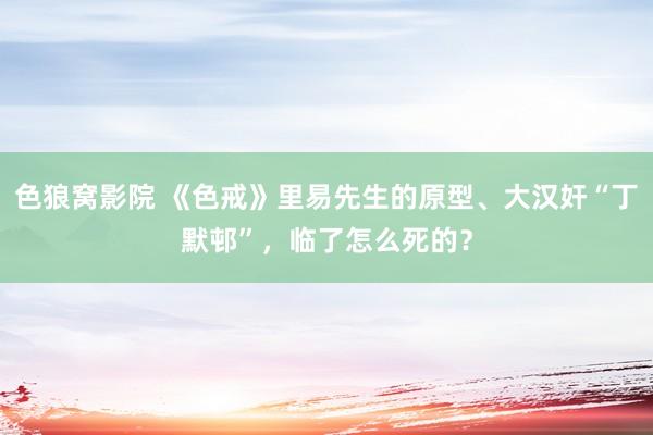 色狼窝影院 《色戒》里易先生的原型、大汉奸“丁默邨”，临了怎么死的？