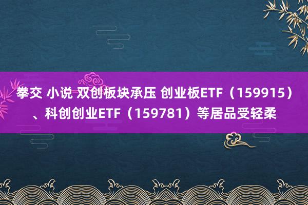拳交 小说 双创板块承压 创业板ETF（159915）、科创创业ETF（159781）等居品受轻柔