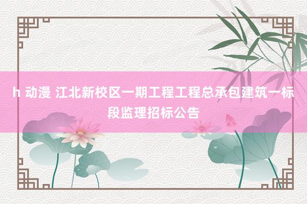 h 动漫 江北新校区一期工程工程总承包建筑一标段监理招标公告