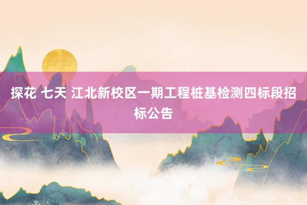 探花 七天 江北新校区一期工程桩基检测四标段招标公告
