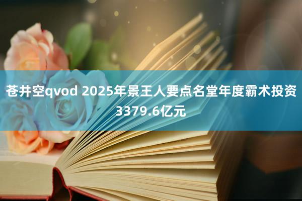 苍井空qvod 2025年景王人要点名堂年度霸术投资3379.6亿元