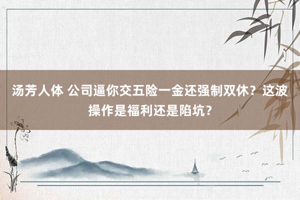 汤芳人体 公司逼你交五险一金还强制双休？这波操作是福利还是陷坑？