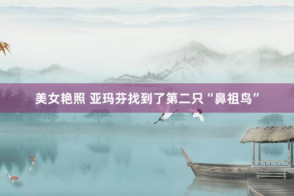 美女艳照 亚玛芬找到了第二只“鼻祖鸟”
